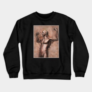 Human Anatomy Crewneck Sweatshirt